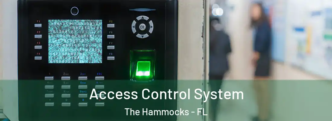  Access Control System The Hammocks - FL
