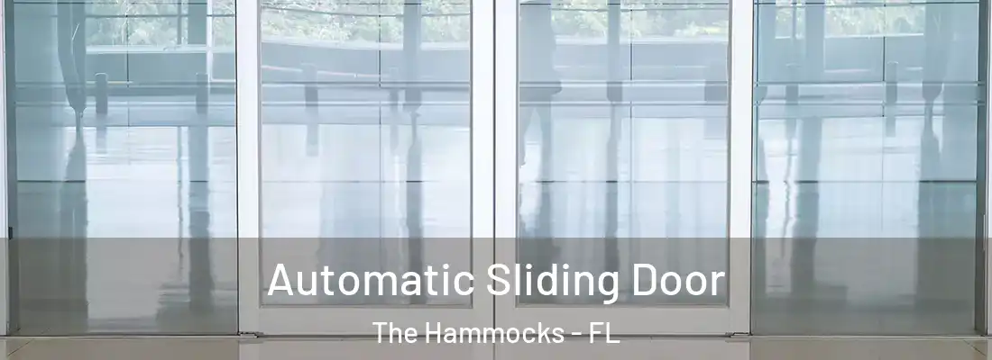  Automatic Sliding Door The Hammocks - FL