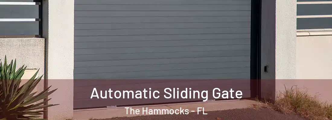  Automatic Sliding Gate The Hammocks - FL