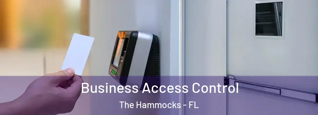  Business Access Control The Hammocks - FL