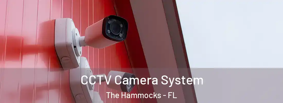  CCTV Camera System The Hammocks - FL