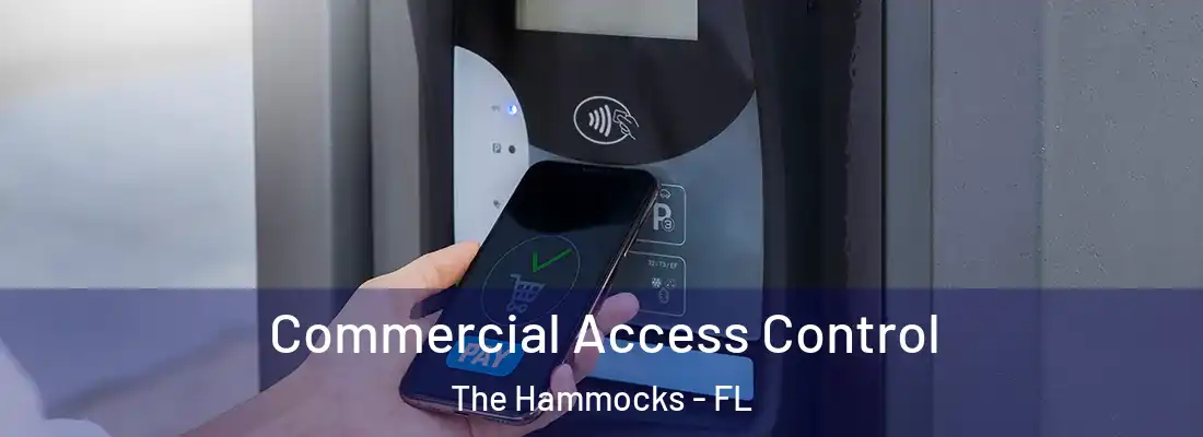 Commercial Access Control The Hammocks - FL