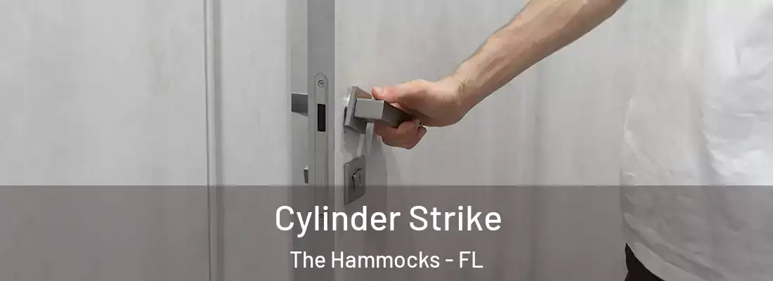  Cylinder Strike The Hammocks - FL