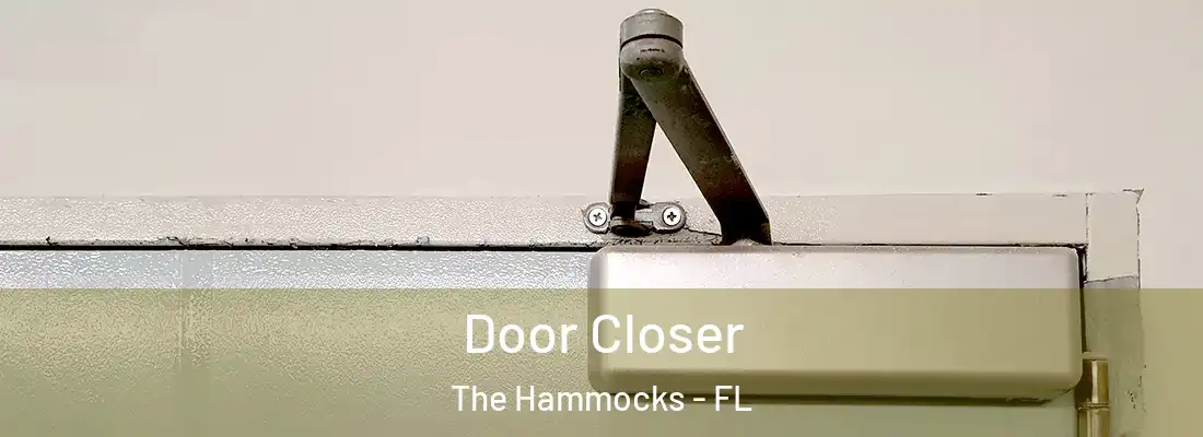  Door Closer The Hammocks - FL