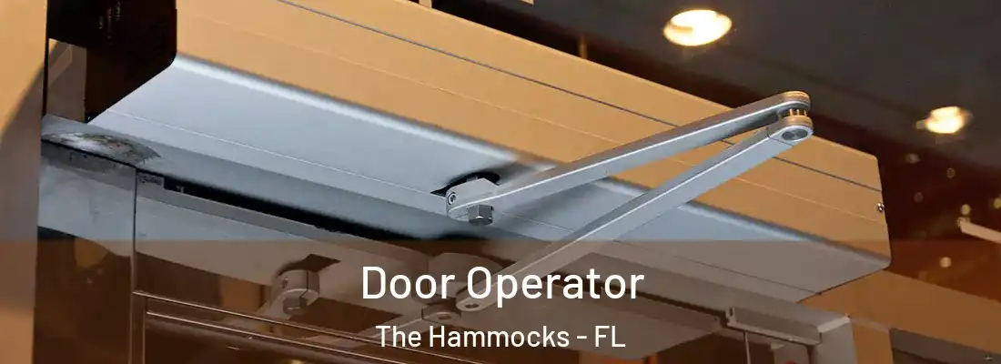  Door Operator The Hammocks - FL