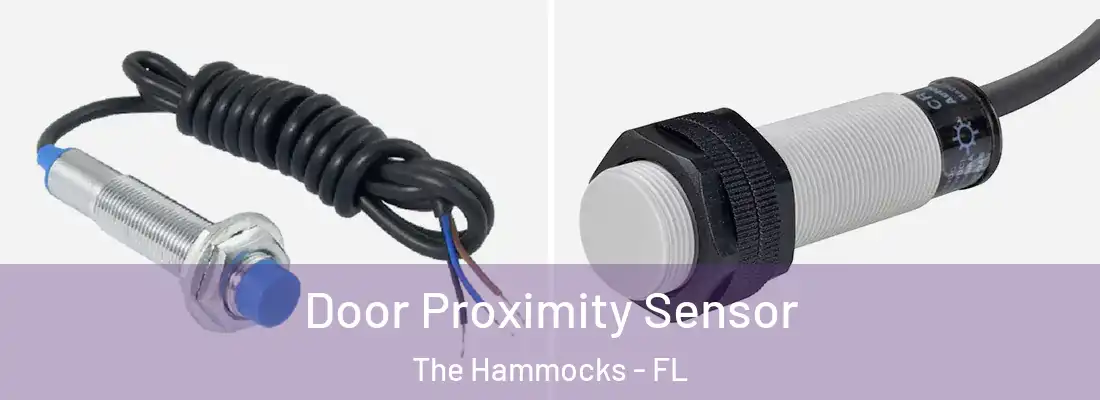  Door Proximity Sensor The Hammocks - FL