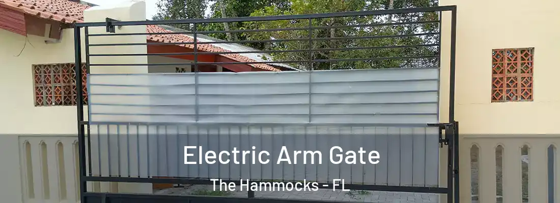  Electric Arm Gate The Hammocks - FL