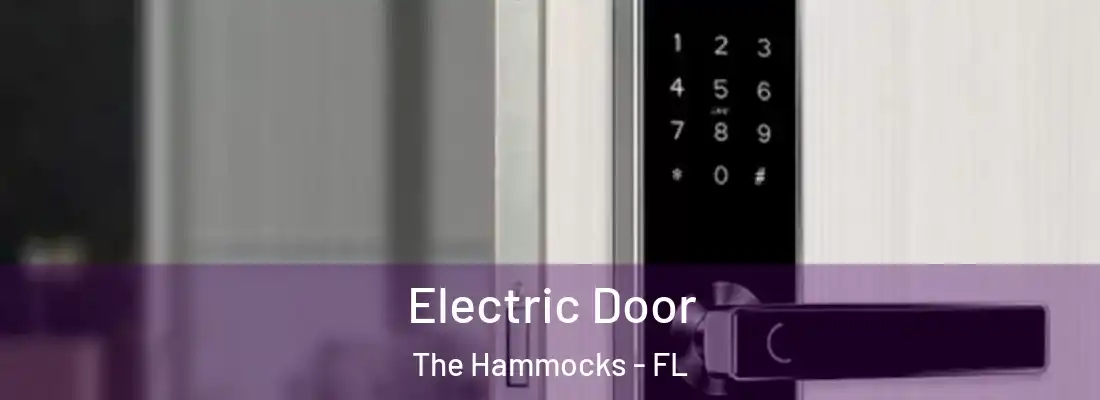  Electric Door The Hammocks - FL