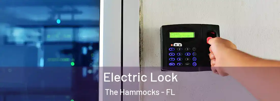  Electric Lock The Hammocks - FL