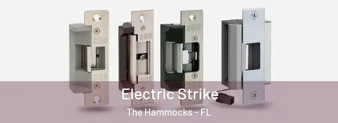  Electric Strike The Hammocks - FL