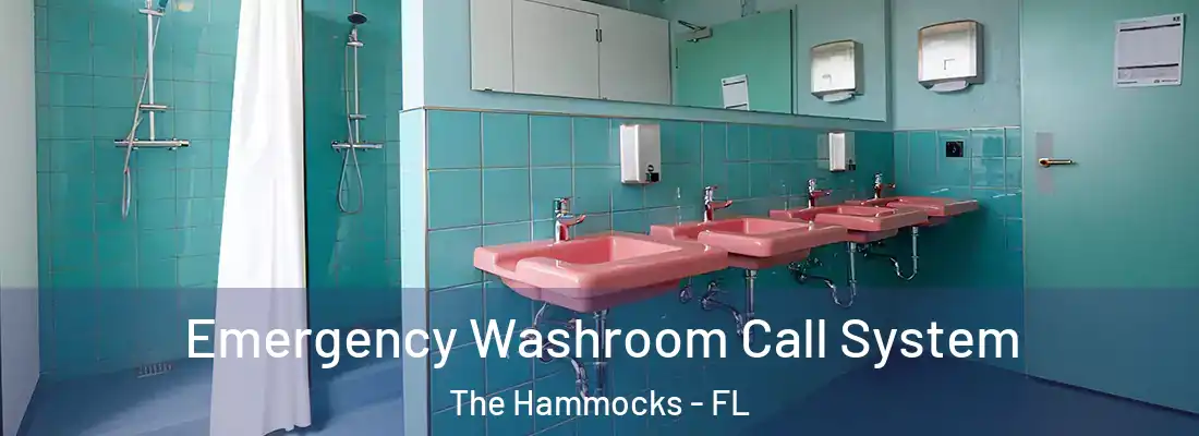  Emergency Washroom Call System The Hammocks - FL