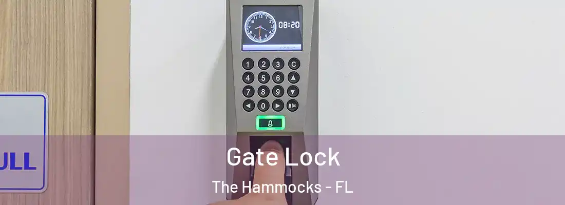  Gate Lock The Hammocks - FL