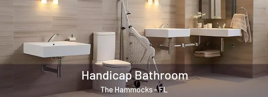  Handicap Bathroom The Hammocks - FL