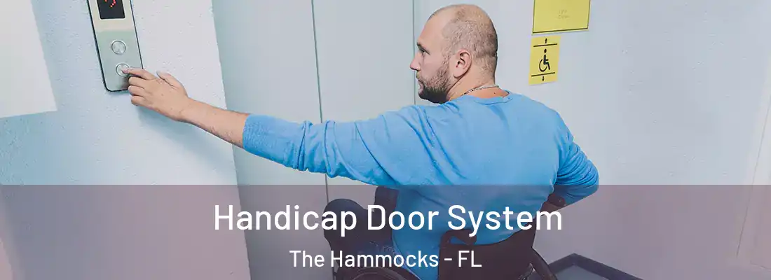  Handicap Door System The Hammocks - FL