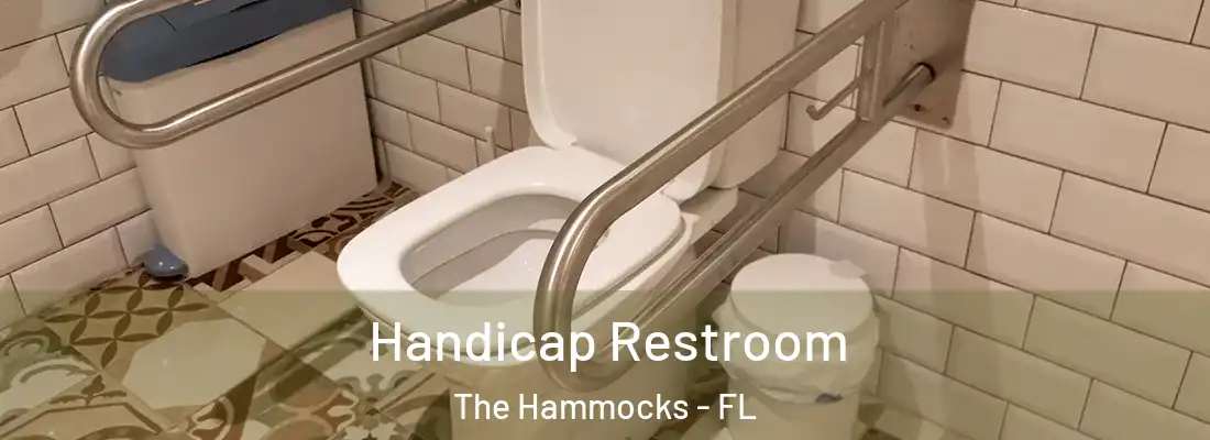  Handicap Restroom The Hammocks - FL