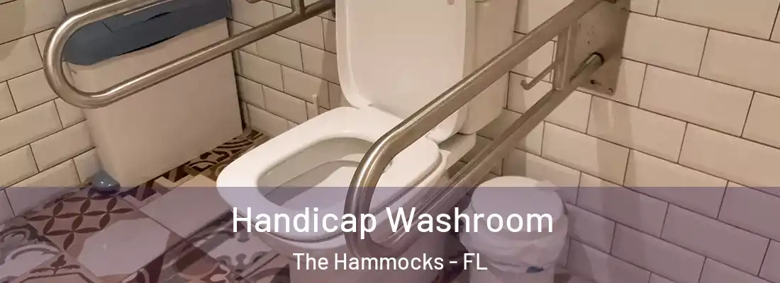  Handicap Washroom The Hammocks - FL