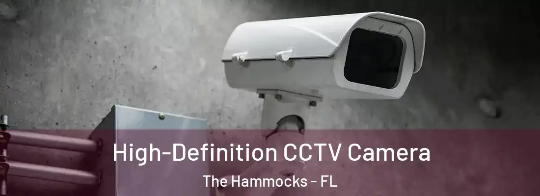  High-Definition CCTV Camera The Hammocks - FL