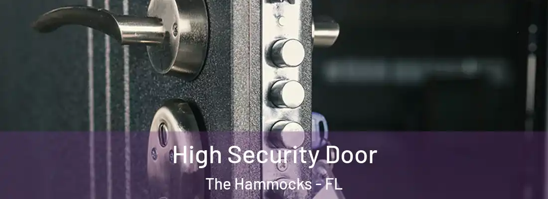  High Security Door The Hammocks - FL