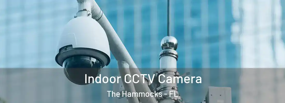  Indoor CCTV Camera The Hammocks - FL