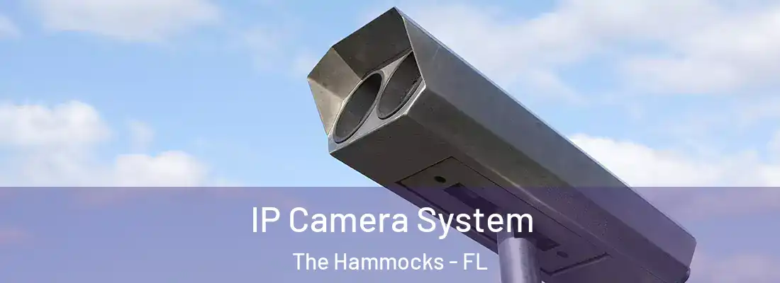  IP Camera System The Hammocks - FL