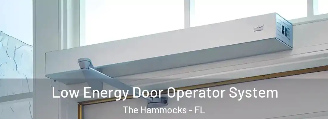  Low Energy Door Operator System The Hammocks - FL