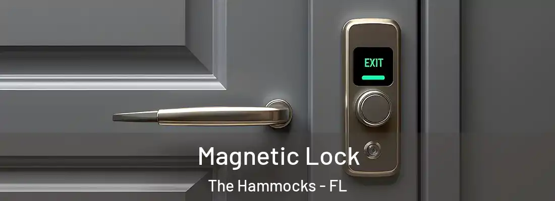  Magnetic Lock The Hammocks - FL