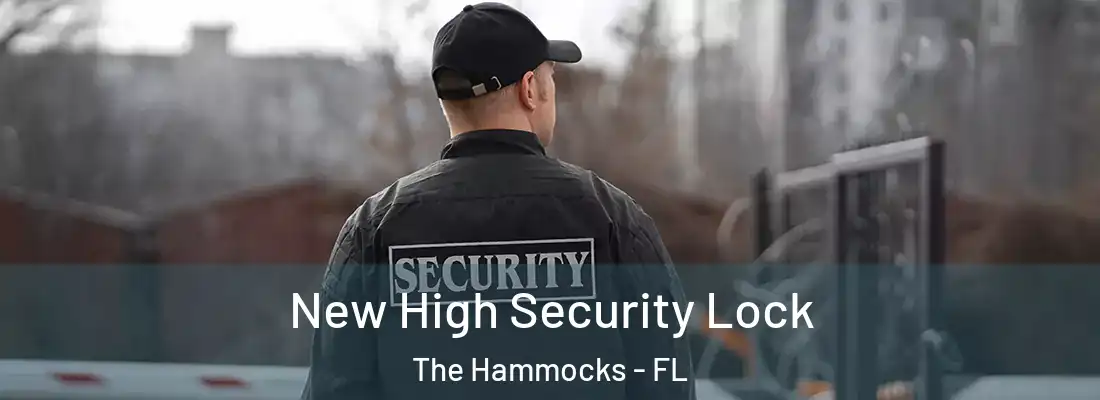  New High Security Lock The Hammocks - FL