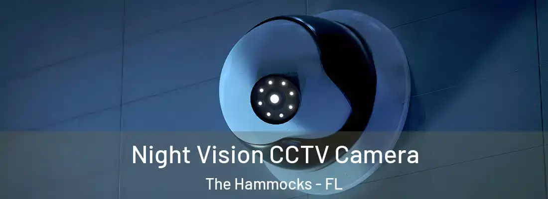  Night Vision CCTV Camera The Hammocks - FL