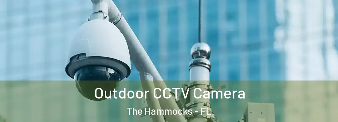  Outdoor CCTV Camera The Hammocks - FL