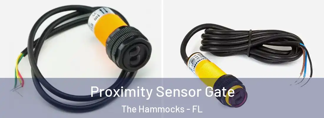  Proximity Sensor Gate The Hammocks - FL