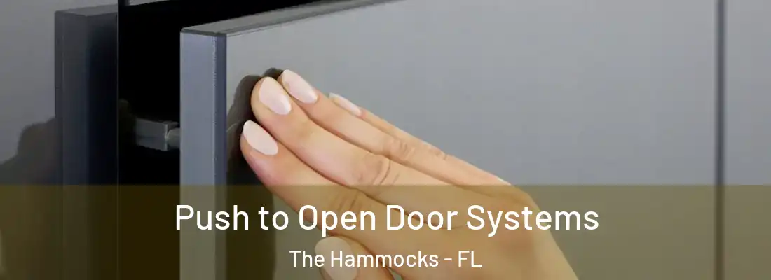  Push to Open Door Systems The Hammocks - FL