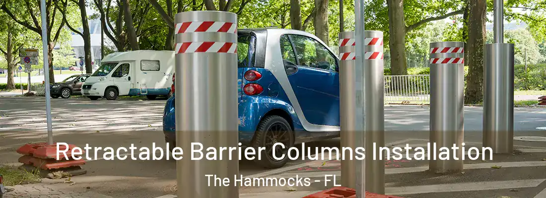  Retractable Barrier Columns Installation The Hammocks - FL