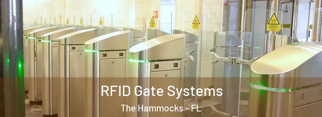  RFID Gate Systems The Hammocks - FL