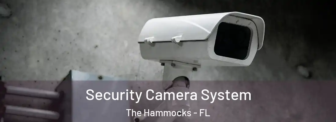  Security Camera System The Hammocks - FL