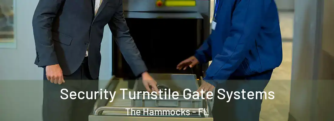  Security Turnstile Gate Systems The Hammocks - FL