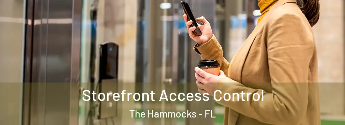  Storefront Access Control The Hammocks - FL